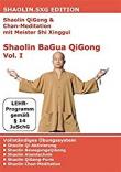 Shaolin QiGong mit Shaolinmeister Sh Xinggui